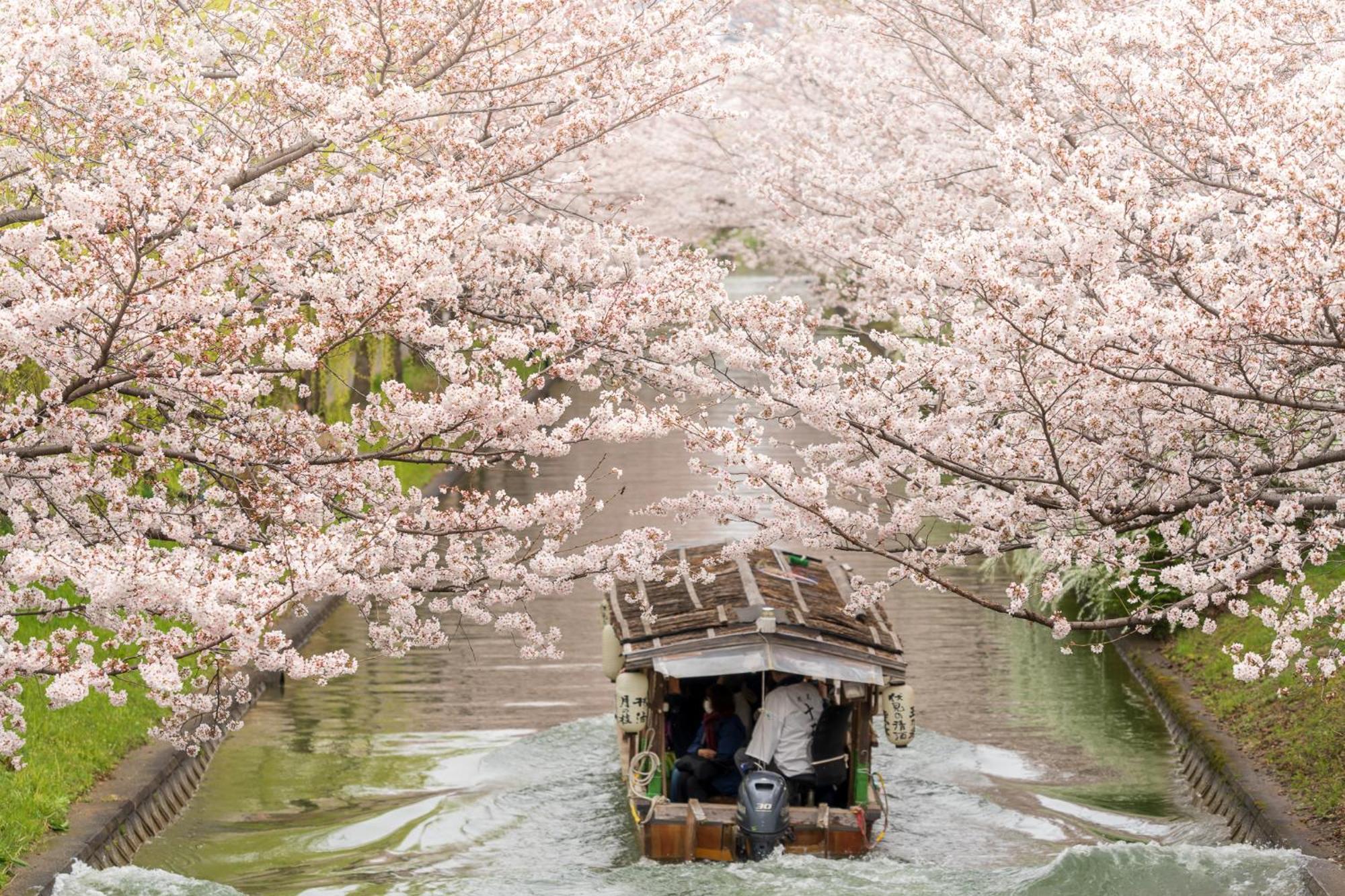 Mimaru Kyoto Nishinotoin Takatsuji Hotel Eksteriør billede