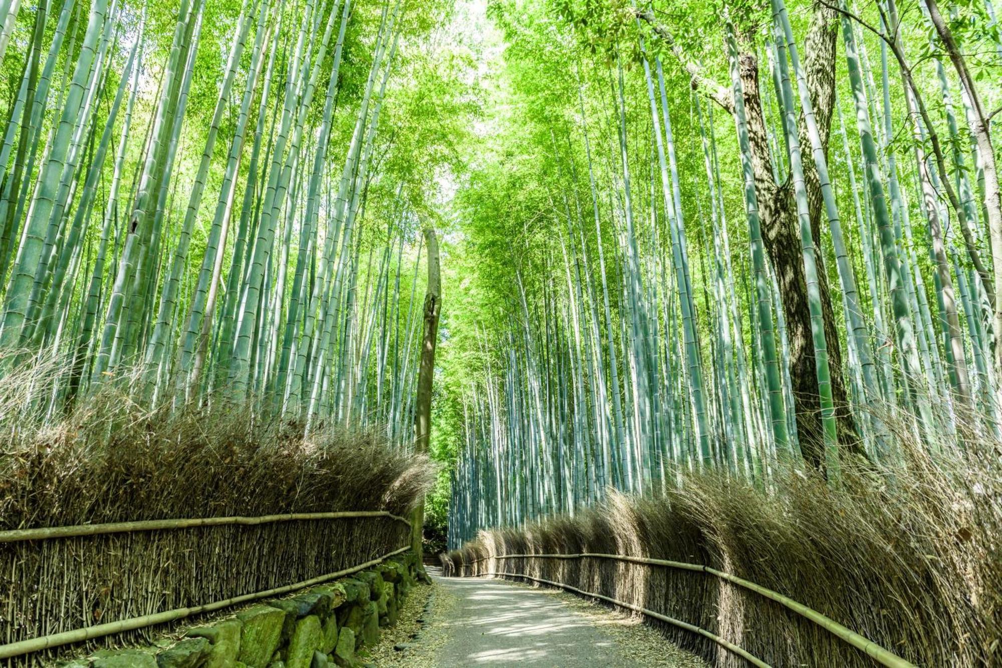 Mimaru Kyoto Nishinotoin Takatsuji Hotel Eksteriør billede